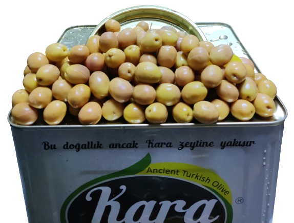 Kara scratched green olives